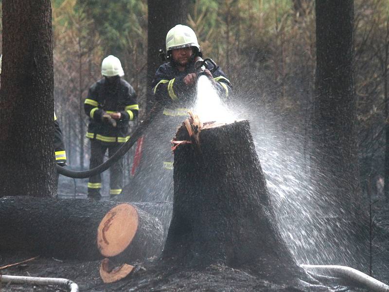 Deset jednotek hasičů zalarmoval v sobotu po šesté večer požár lesa. Hořelo mezi Ostrovem u Macochy, Lipovcem a Krasovou. Krátce před osmou hodinou dostali hasiči oheň po kontrolu.