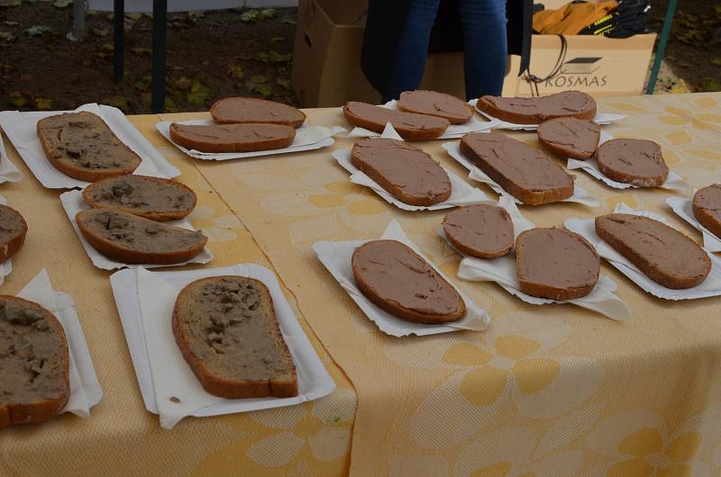 Husí speciality přilákaly o víkendu do Boskovic tisíce lidí. Již potřinácté se tam konaly Husí slavnosti.