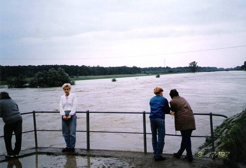 Rozvodněná řeka Morava na Hodonínsku.