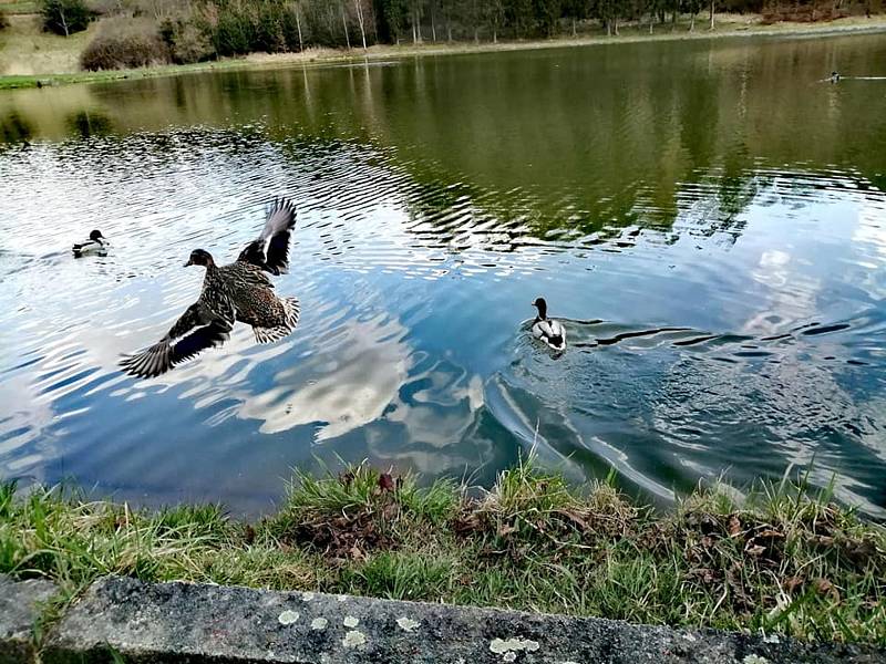 Z výletu do Ostrova u Macochy a k jedovnickým rybníkům.