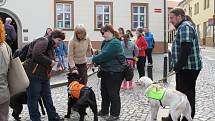 Třináctý ročník soutěže vodicích psů Cesta ve tmě tentokrát provedl účastníky centrem Boskovic.