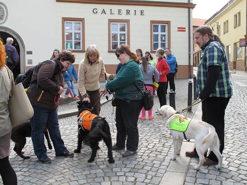 Třináctý ročník soutěže vodicích psů Cesta ve tmě tentokrát provedl účastníky centrem Boskovic.