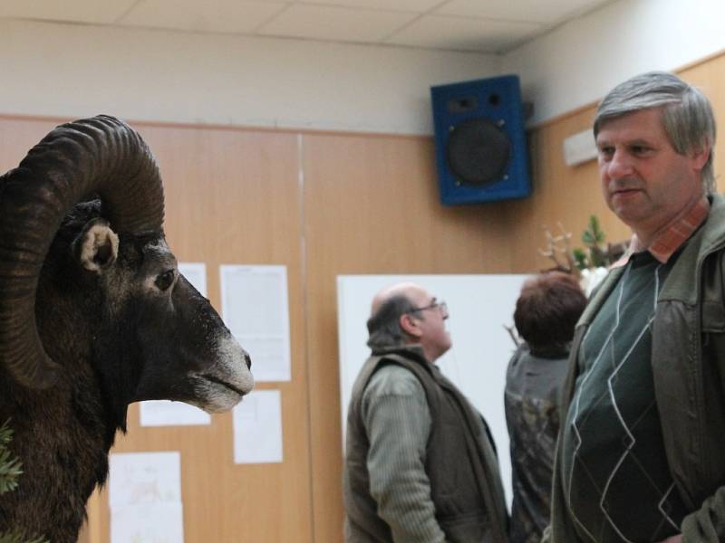 Téměř šest stovek srnčích trofejí. Přes padesát dančích, více než třicet mufloních. Ale také trofeje z divočáků, lišek, jezevců, jelenů a muflonů. To vše si mohou od pátku do neděle prohlédnout návštěvníci chovatelské přehlídky trofejí v Černé Hoře. 