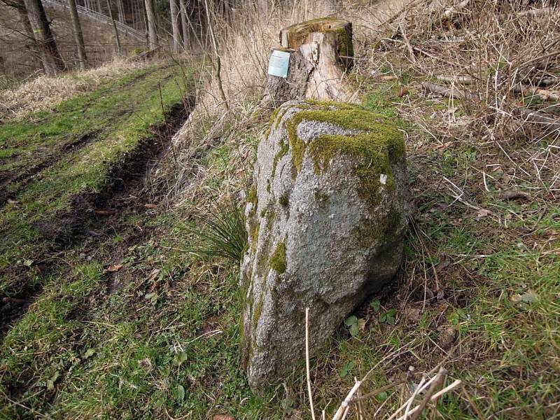 Nedaleko obce Klementice na Třebíčsku stojí dva zajímavé kameny. Jeden připomíná dávnou tragédii. Druhý pak mnichovskou zradu. 