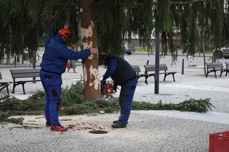 V pondělí přivezla těžká technika vánoční strom na náměstí Republiky v Blansku. Městu ho věnoval Školní lesní podnik Masarykův les Křtiny.