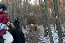 Konec agresivním hádkám v lesích na Blanensku, vznikly v nich koňské trasy.