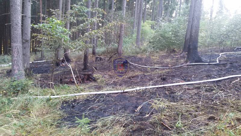 V lese v katastru obce Senetářov hořel les. Hasiči vyhlásili druhý stupeň požárního poplachu. 
