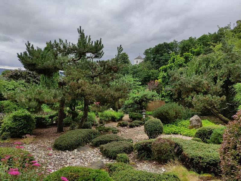 Při výletech po Boskovicku turisté rádi navštěvují i Borotín, kde se nachází vyhlášené arboretum.