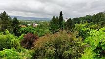 Při výletech po Boskovicku turisté rádi navštěvují i Borotín, kde se nachází vyhlášené arboretum.