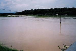 Rozvodněná řeka Morava na Hodonínsku.