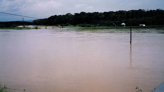 Rozvodněná řeka Morava na Hodonínsku.