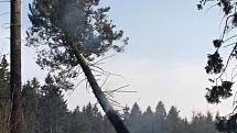 Požár lesa v Černovicích.
