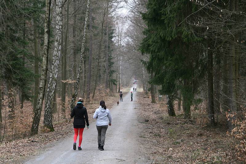 Nový hrad nedaleko Olomučan na Blanensku otevřel své brány. Turisty přilákal velikonoční jarmark.