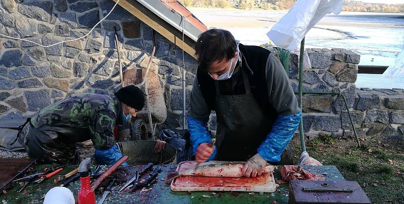 Výlovy se kvůli omezení obešly bez tradičního jarmarku. Prodej živých ryb však nalákal zájemce ze širokého okolí.