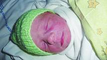 David Dokoupil, 46 cm, 2,94 kg, 4. 2. 2010, Brťov