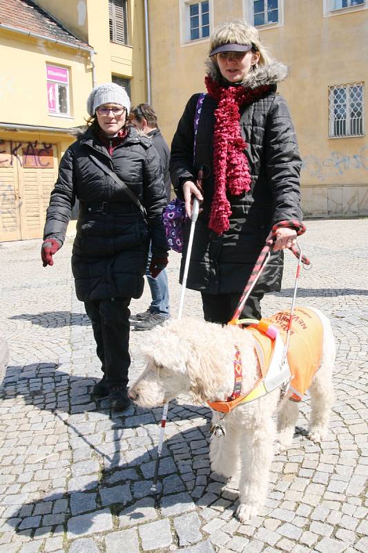 Nevidomí zvládli cestu ve tmě. S vodicími psy.