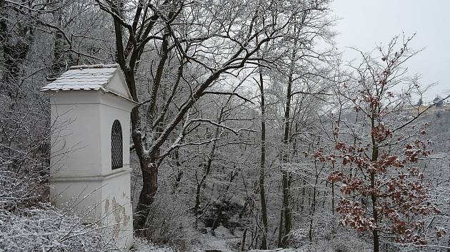 Ze zimní vycházky na znojemské Hradiště. Foto: Veronika Králová, domavpodyji.cz