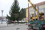 V pondělí přivezla těžká technika vánoční strom na náměstí Republiky v Blansku. Městu ho věnoval Školní lesní podnik Masarykův les Křtiny.