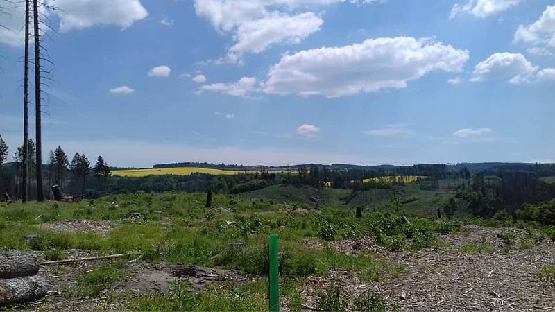 Z výletu z Boskovic do Úsobrna, Jaroměřic, Uhřice, Cetkovic a Světlá do Šebetova a přes Doubravy do Boskovic.