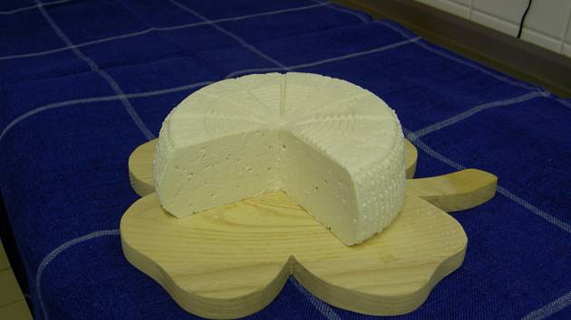 Sýr z kozí farmy v Šošůvce.