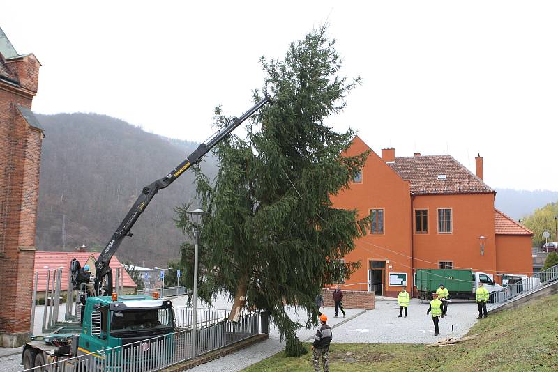 V pondělí přivezla těžká technika vánoční strom ke kostelu svaté Barbory v Adamově. Městu ho věnoval Školní lesní podnik Masarykův les Křtiny.