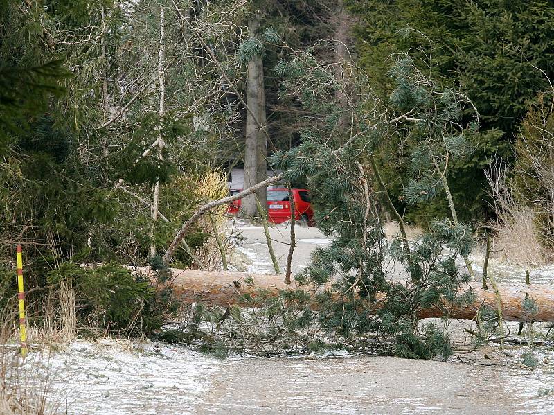 Hasiči a policisté evakuovali v neděli chatovou oblast v lese mezi obcemi Velenov a Suchý. Kvůli vichřici, která v kolonii pokácela stromy. Zákaz vstup platí do pondělního poledne.
