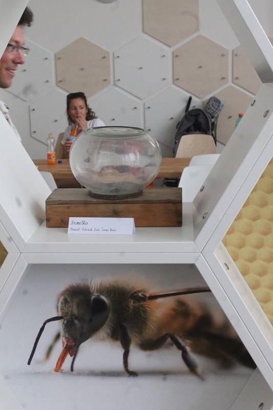 Veselice láká turisty na další zajímavost. Po známé rozhledně Podvrší si mohou nově prohlédnout Muzeum včelařství Moravského krasu.
