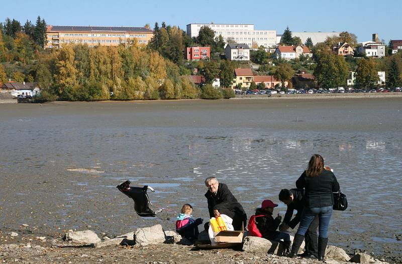 Rybáři vylovili jedovnický rybník Olšovec. V síti uvízl i sumec albín.