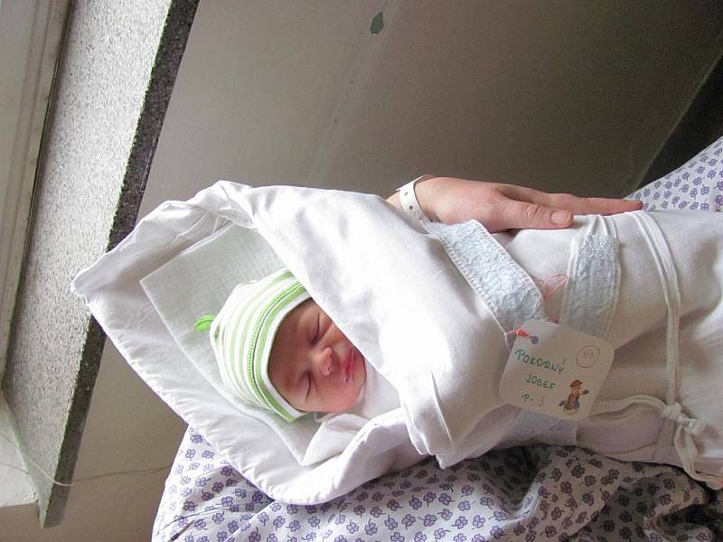 Josef Pokorný, 49 cm, 2,80 kg, Boskovice, 30. 11.2011