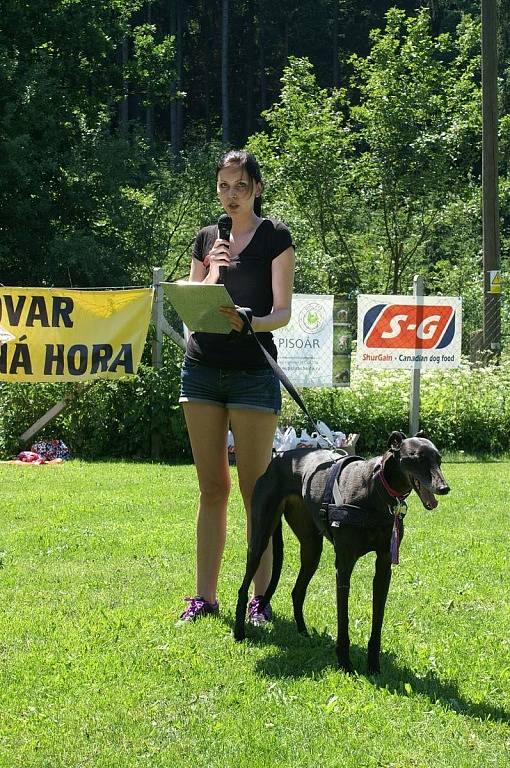 Do Černé Hory se v sobotu sjeli voříšci a psi bez průkazu původu. Porota z nich vybrala ty nejlepší. Hodnotila jejich srst, chrup či to, jestli jsou se svým pánem v souladu. Diváci si na výstavě užili i taneční vystoupení a dozvěděli se, v čem spočívá psí