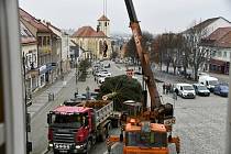 Vánoční strom rozsvítí v Boskovicích on-line. Tuto neděli.