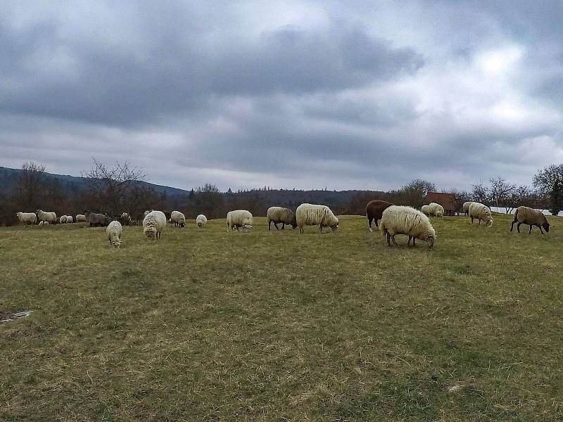 Z výletu do Moravského krasu.