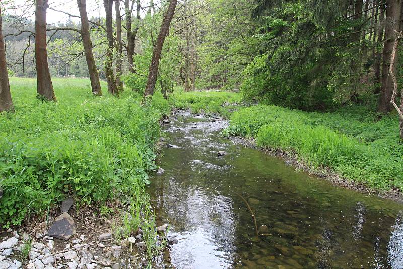 Okolí potoka Bílá voda u Holštejna na Blanensku lemují rozlehlé louky. Stát chce tuto lokalitu zařadit do budoucna na seznam zásobáren vody.
