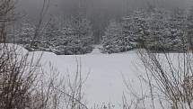 Na Blanensku připadl další sníh. Na běžkách se jezdí u Suchého, Benešova, Kořence nebo Sloupu. Skútrem upravené stopy ale chybí.