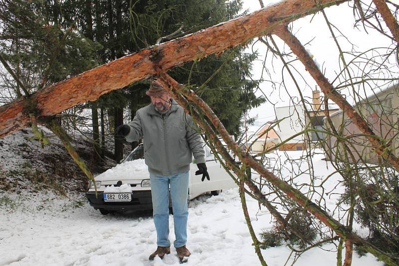 Mezi stromy, které nevydržely vrstvu těžkého mokrého sněhu a vyvrátily se z podmáčené půdy, byla i borovice v části Staré Blansko. Ta pravděpodobně v úterý k ránu spadla přes cestu a položila se na protilehlé garáže.