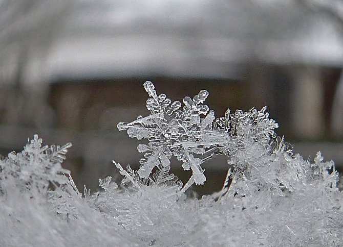 Jemnou krásu sněhových vloček zachytila čtenářka Vlasta Zlámalová. Foto: Vlasta Zlámalová