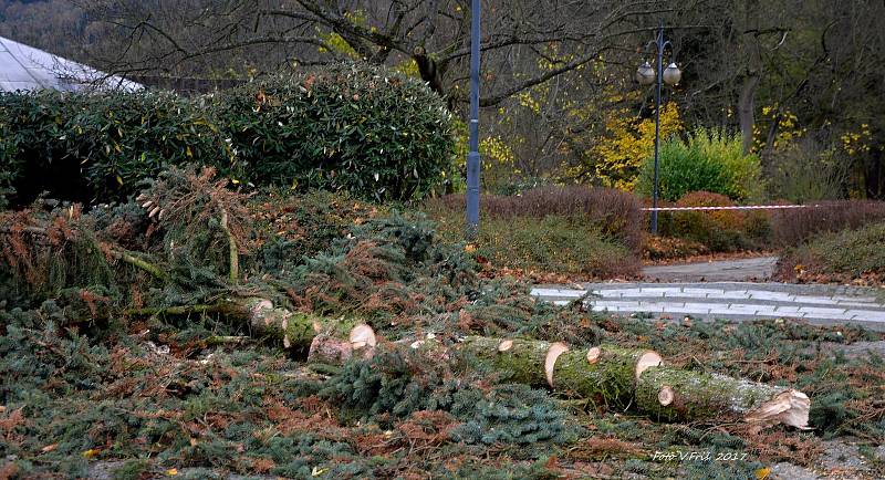 Nedělní vichřice poškodila také střechu na budově Zámeckého skleníku v Boskovicích a stromy v přilehlém parku.