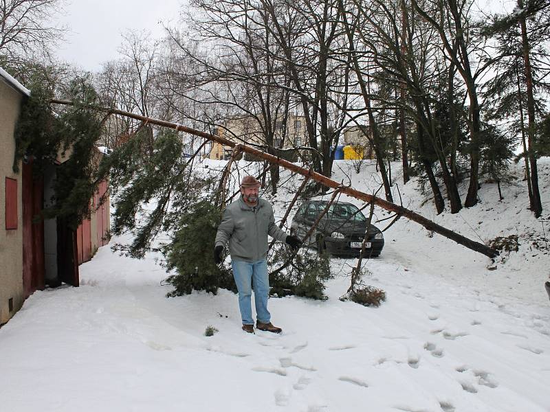 Mezi stromy, které nevydržely vrstvu těžkého mokrého sněhu a vyvrátily se z podmáčené půdy, byla i borovice v části Staré Blansko. Ta pravděpodobně v úterý k ránu spadla přes cestu a položila se na protilehlé garáže.