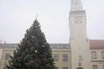 I když letos epidemická omezení nedovolila tradiční setkání, na náměstí v Boskovicích už svítí vánoční strom. Foto: Monika Šindelková
