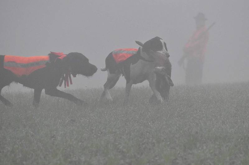 Myslivecké sdružení Rájec-Ráječko a Myslivecké sdružení Lenčov uspořádali v půlce listopadu hon na drobnou zvěr.