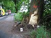 Tragédie u Nových Syrovic: mladík vyjel s autem mimo silnici a narazil do stromu