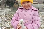 Z prvních sněhových vloček měly radost hlavně děti. Například pětiletá Adéla Maňoušková (na snímku) a její o tři roky mladší bratr Michael ze Svitávky na Blanensku.