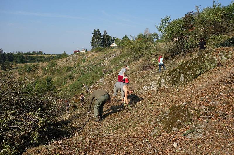 Dobrovolníci kosili v krasu plevel a čistili stráně od náletů. Opravovali také oplocenky.