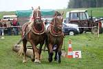 V Petrovicích se uskutečnil pátý ročník v kombinované soutěži dvouspřeží a jednospřeží chladnokrevných koní.