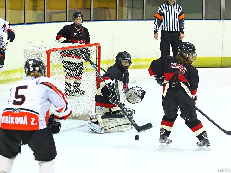 V přátelských zápasech porazily hokejistky HC Cherokees Blansko výběr Kanady 5:4 po samostatných nájezdech a 9:2.