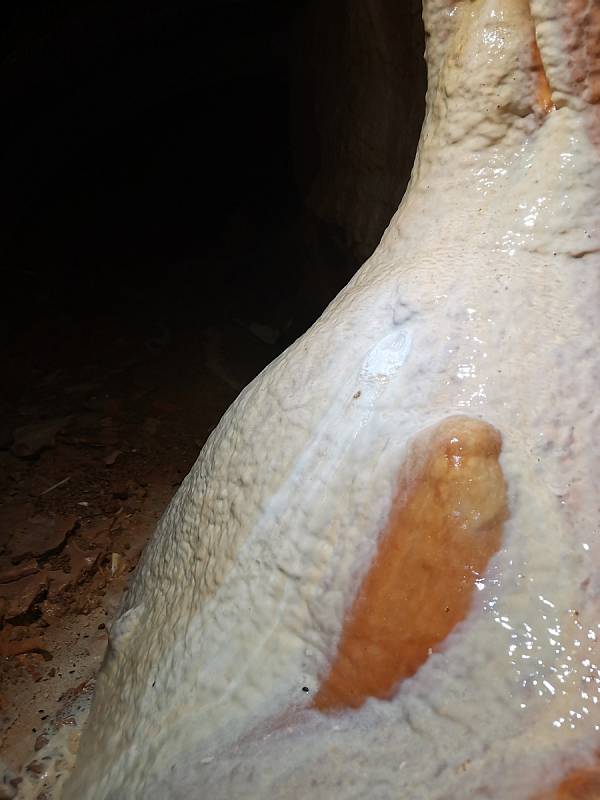 Čtyři rozlehlé dómy s jedinečnou krápníkovou výzdobou. Jeskyňáři ze skupiny 6-20 Moravský kras objevili nedávno v Punkevních jeskyních na Blanensku nové prostory, kam dosud lidská noha nevkročila.