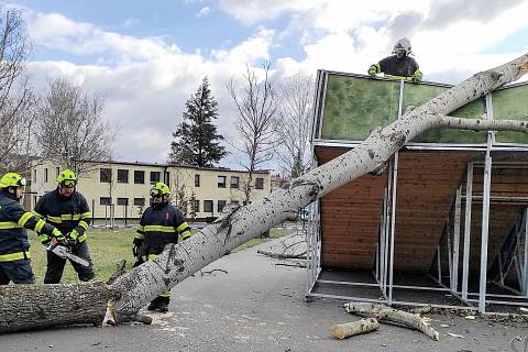 Vichřice poškodila blanenský skatepark. Strom rozbil velkou rampu.
