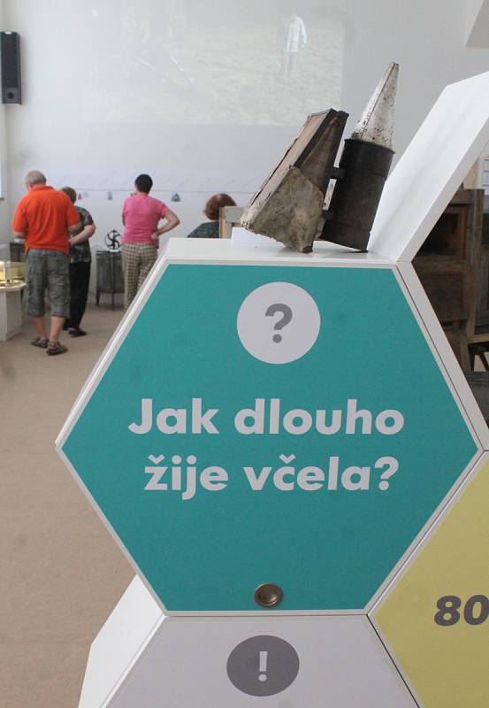 Veselice láká turisty na další zajímavost. Po známé rozhledně Podvrší si mohou nově prohlédnout Muzeum včelařství Moravského krasu.