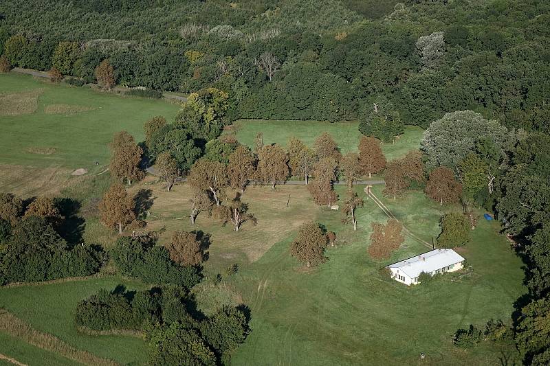 Motorový paraglidista Petr Buchta z Adamova na Blanensku tentokrát změnil letový plán. S křídlem a fotoaparátem nevystartoval nad oblíbený Moravský kras, ale kompas stočil minulý víkend více na jih. Konkrétně na Břeclavsko.