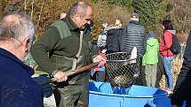 Výlovy na Blanensku pokračují. Po jedovnickém Olšovci zatáhli rybáři sítě také na rybníku ve křtinském arboretu.